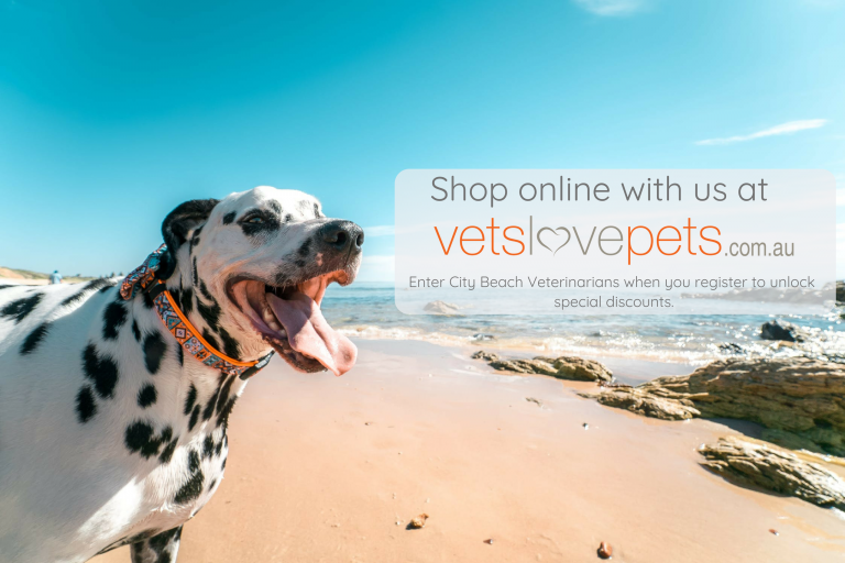 City Beach Vets Love Pets City Beach Veterinarians